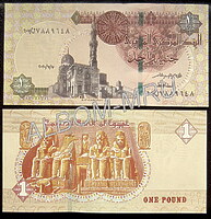 Египет 1 фунт 2020г. Пресс. UNC